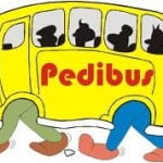 pedibus