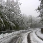 neve