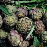 carciofi