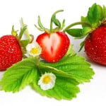 strawberries with leaf and flowers