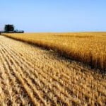agric