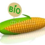 bio