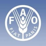 fao