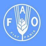 fao