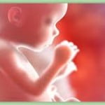aborto