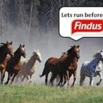 findus