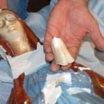 madonna-decapitata-bari