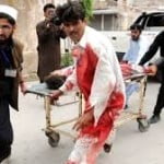 pakis