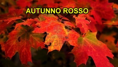 autunno