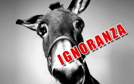 ignoranza