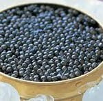 caviale
