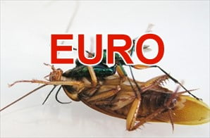 euro-scara