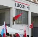 lucchini