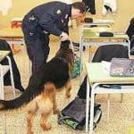scuola