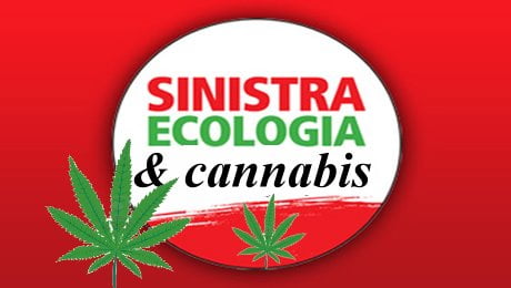 cannabis