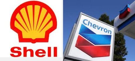 shell