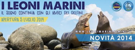 leonimarini2