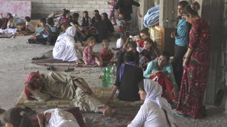 yazidi