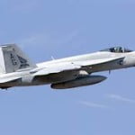 hornet