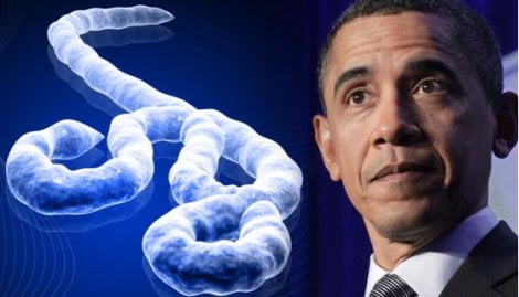 ebola