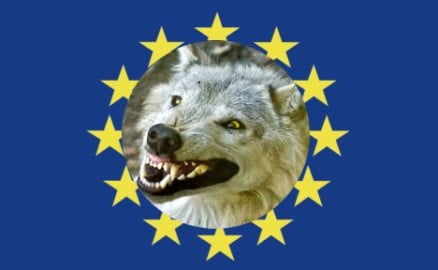 sciacallo-UE