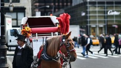 US-LIFESTYLE-NYC-PEOPLE