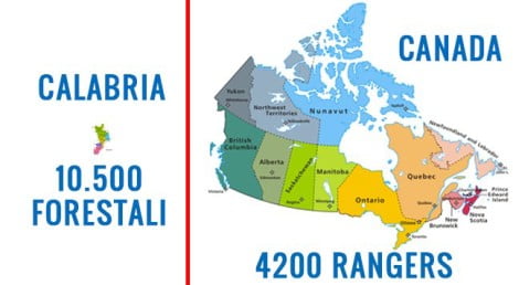 forestali