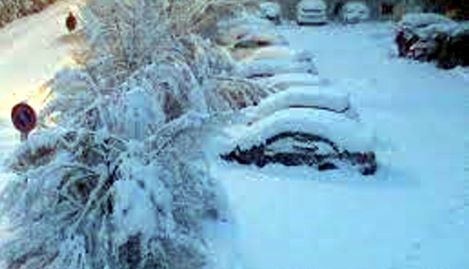 neve