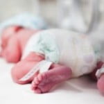 neonato
