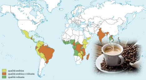caffe