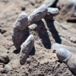 yazidi