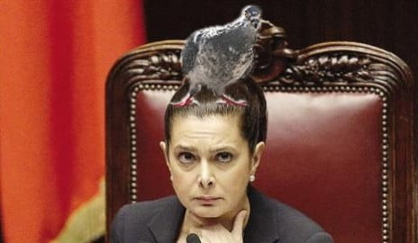 boldrini-piccione2