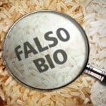 falso_bio