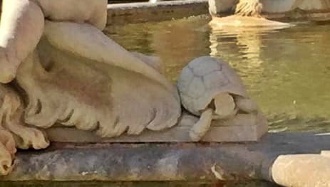 Roma, danni alla fontana di Nettuno: “Testa della tartaruga decapitata” - Imola Oggi