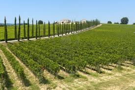 Sporcizia e prodotti scaduti, agriturismo chiuso a Caraffa