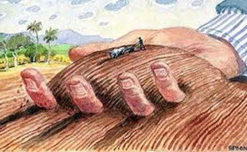 land grabbing