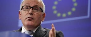 Timmermans
