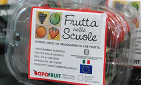 frutta a scuola