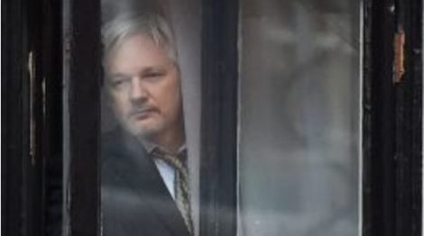 assange