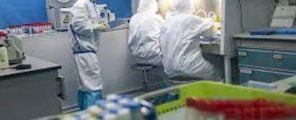 virologi di Wuhan