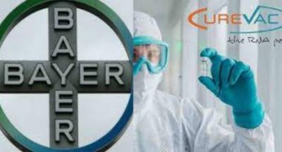 curevac bayer
