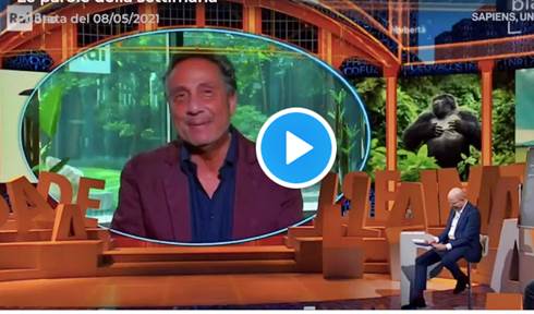 mario tozzi mangiare insetti