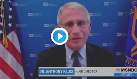 fauci