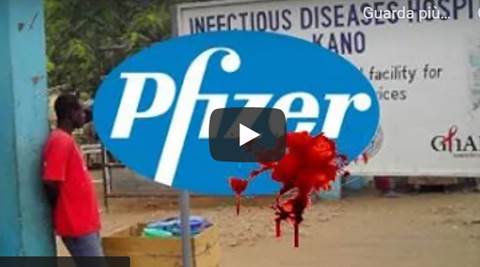 pfizer contenzioso di Kano