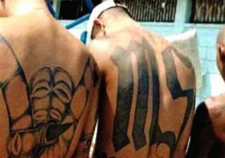 gang ms13