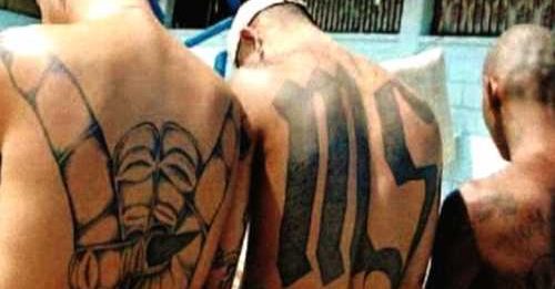gang ms13