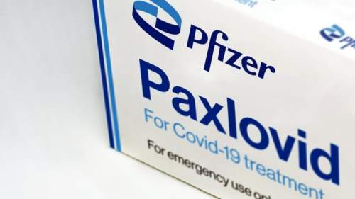 Paxlovid anti covid pfizer