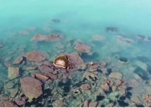 Abbassamento del livello del mare, antico isolotto emerge in Sicilia Abbassamento del livello del mare Sicilia