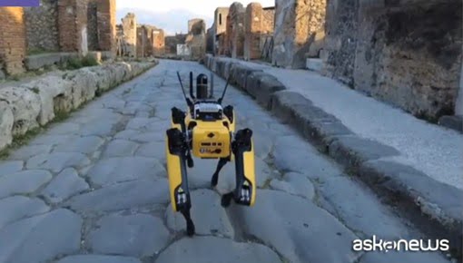 Pompei: cane robot