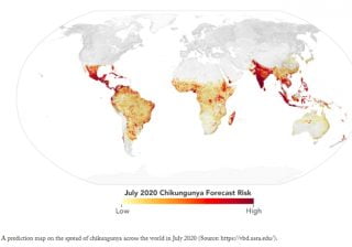 Chikungunya